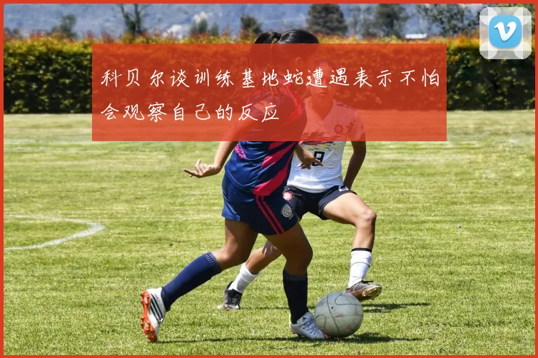 科贝尔谈训练基地蛇遭遇表示不怕会观察自己的反应